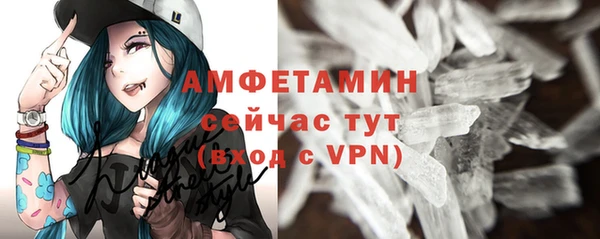 тгк Бородино