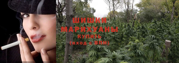 mix Верхний Тагил
