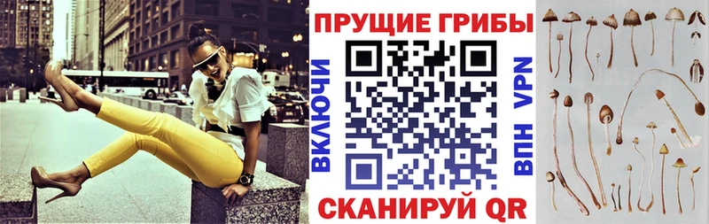 Галлюциногенные грибы MAGIC MUSHROOMS  Енисейск 